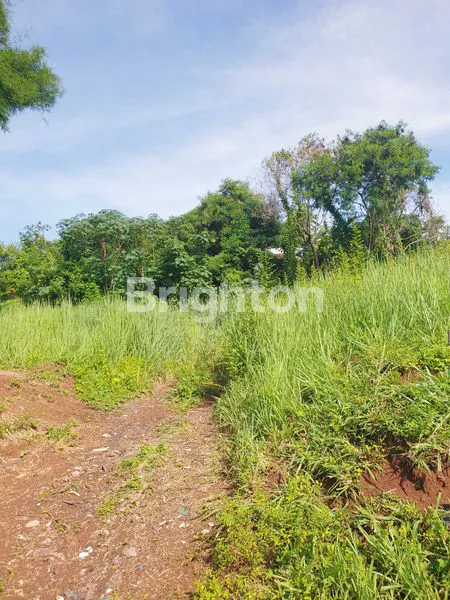 image TANAH DI JLN. RADEN FATAH, KALIAWI, TANJUNG KARANG PUSAT, BANDAR LAMPUNG, LAMPUNG (7)