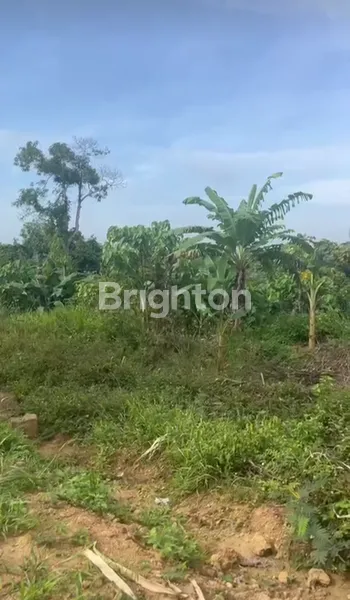 image TANAH KEBUN DAN DIJUAL DI KAMPUNG JAWA BATU BESAUNG SEMPAJA  SAMARINDA (1)