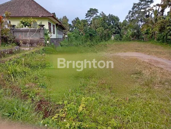 TANAH 21 ARE DI BANGLI