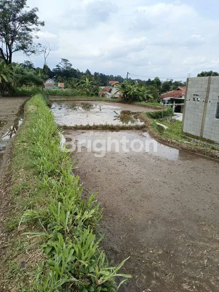 image DIJUAL TANAH SAWAH TAMANSARI BOGOR (2)