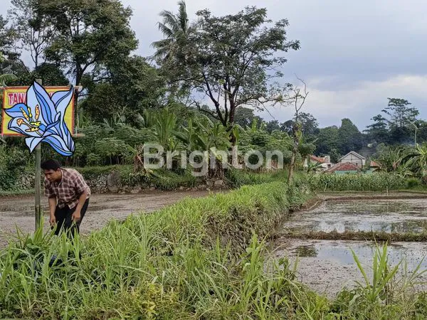 image DIJUAL TANAH SAWAH TAMANSARI BOGOR (1)