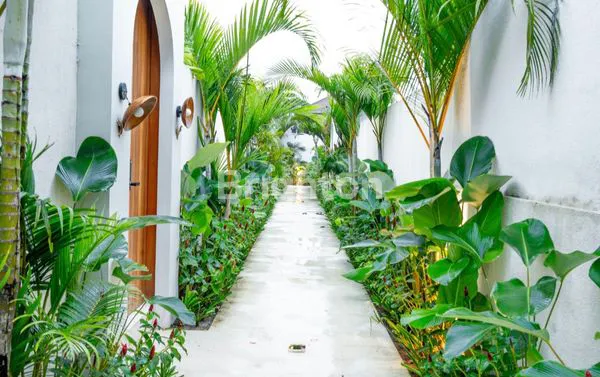 image FOR RENT YERALY/MONTHLY! - 2BR VILLA SESEH (1)