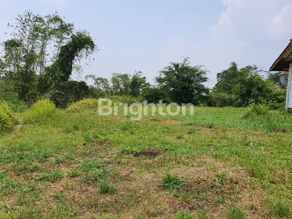 image TANAH LUAS DAERAH DINGIN BOGOR UNTUK PERUMAHAN ATAU PERKEBUNAN (1)