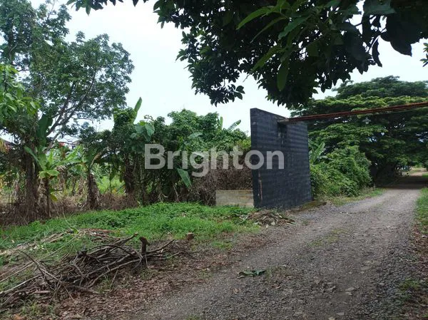 image TANAH KAVLING STRATEGIS TENGAH KOTA 8.031 M2 KEDAMAIAN BANDAR LAMPUNG (3)