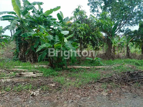 image TANAH KAVLING STRATEGIS TENGAH KOTA 8.031 M2 KEDAMAIAN BANDAR LAMPUNG (2)