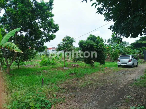 image TANAH KAVLING STRATEGIS TENGAH KOTA 8.031 M2 KEDAMAIAN BANDAR LAMPUNG (4)