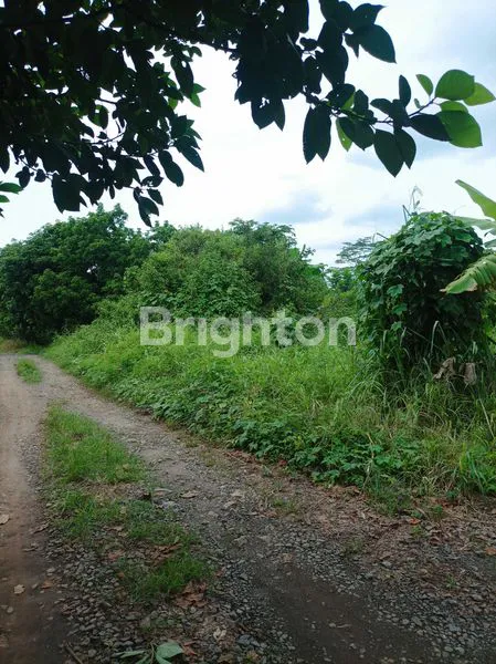 image TANAH KAVLING STRATEGIS TENGAH KOTA 8.031 M2 KEDAMAIAN BANDAR LAMPUNG (8)