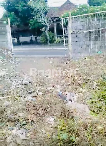 image TANAH HOOK AREA UBUD GIANYAR (1)