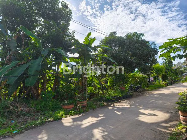 image TANAH KAPLING DKT WISATA KEBON DESA (1)