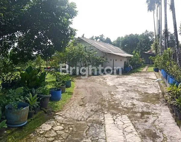image TANAH DAN VILLA SUKADAMAI DRAMAGA KABUPATEN BOGOR JAEA BARAT (5)