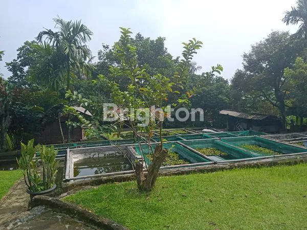 image TANAH DAN VILLA SUKADAMAI DRAMAGA KABUPATEN BOGOR JAEA BARAT (2)