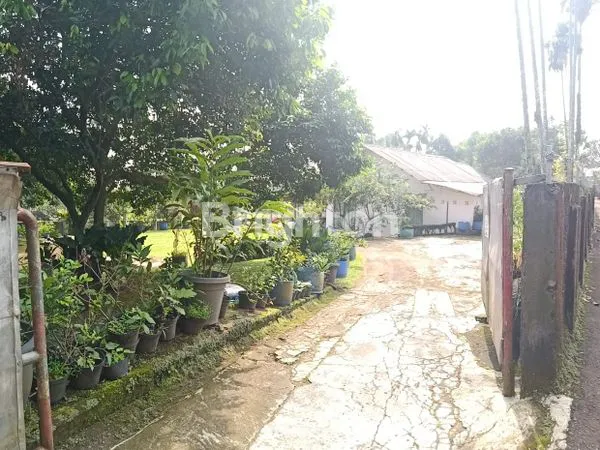 image TANAH DAN VILLA SUKADAMAI DRAMAGA KABUPATEN BOGOR JAEA BARAT (1)