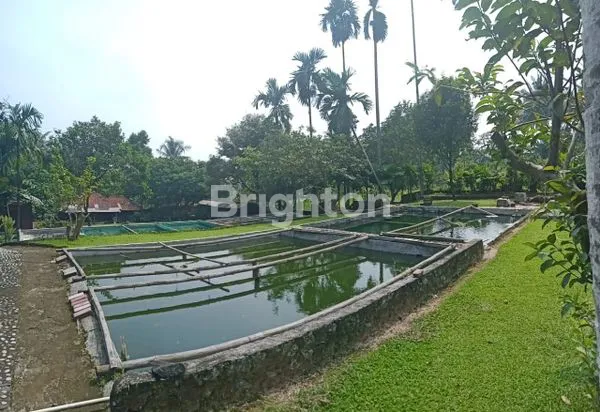 image TANAH DAN VILLA SUKADAMAI DRAMAGA KABUPATEN BOGOR JAEA BARAT (3)