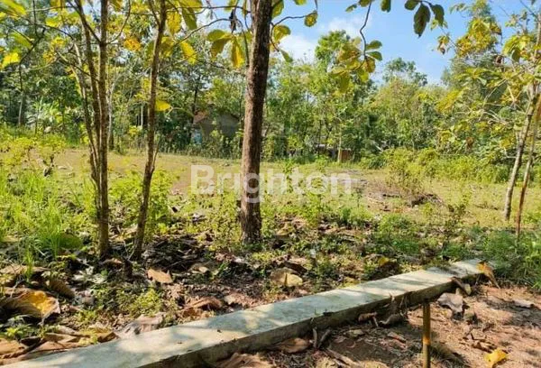 image TANAH COCOK UNTUK INVESTASI AREA NGAWEN GUNUNGKIDUL YOGYAKARTA (2)