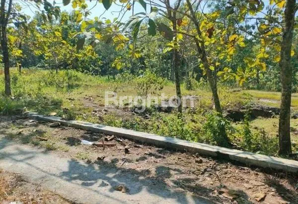 TANAH COCOK UNTUK INVESTASI AREA NGAWEN GUNUNGKIDUL YOGYAKARTA