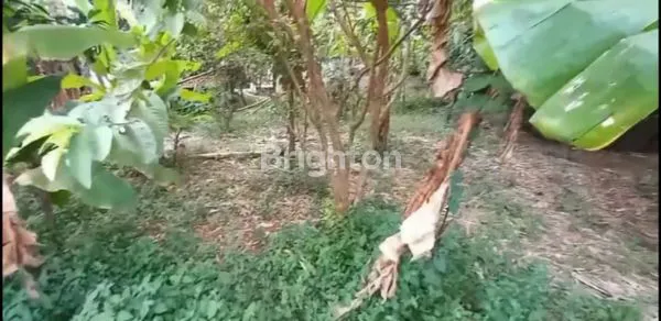 image TANAH STRATEGIS SHM CISAUK KABUPATEN TANGERANG BANTEN (3)