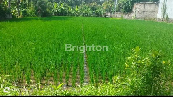 image TANAH JALAN PROF IDA BAGUS MANTRA BALI (1)