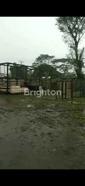 image GUDANG LUAS DAN MURAH DI  TANGERANG  BANTEN  (6)