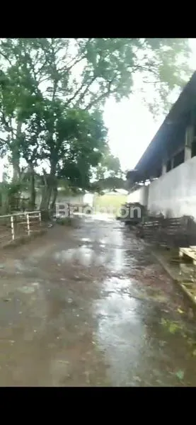 image GUDANG LUAS DAN MURAH DI  TANGERANG  BANTEN  (5)
