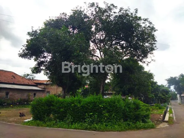 image TANAH PEKARANGAN DI KEBAKRAMAT (1)