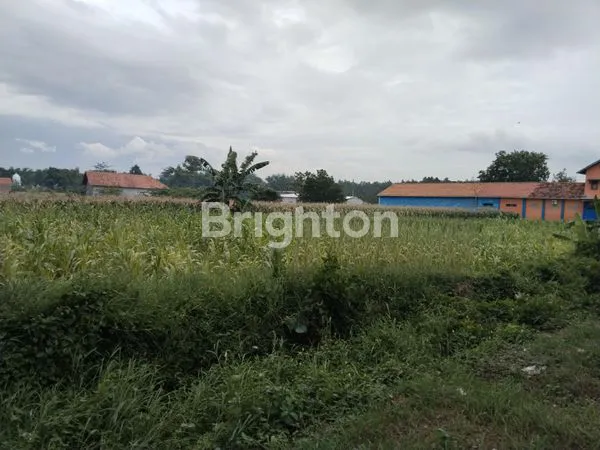image TANAH SAWAH SIDOGIRI KABUPATEN PASURUAN  (1)