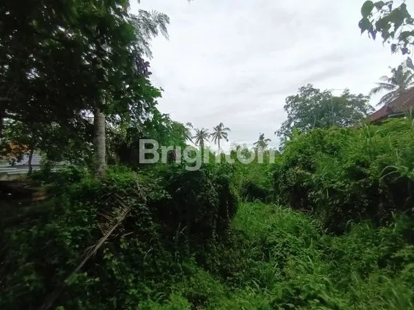 TANAH VIEW INDAH DI DESA BINDU