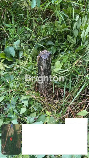 image DIJUAL TANAH (3)