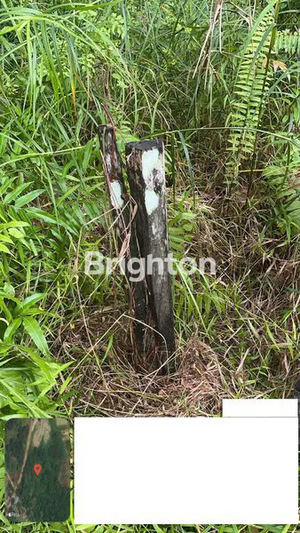 image DIJUAL TANAH (4)