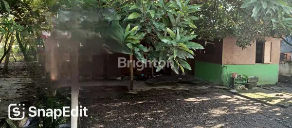 image DIJUAL MURAH TANAH PINGGIR JLN RAYA (1)