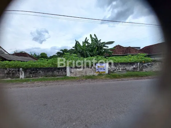 image TANAH LUAS COCOK UNTUK TEMPAT TINGGAL DAN USAHA (2)