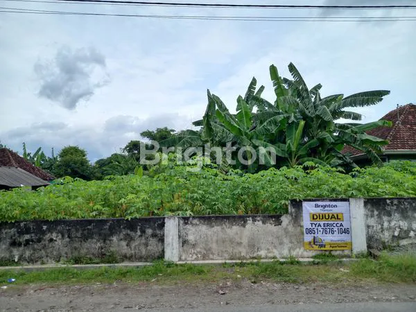 image TANAH LUAS COCOK UNTUK TEMPAT TINGGAL DAN USAHA (7)