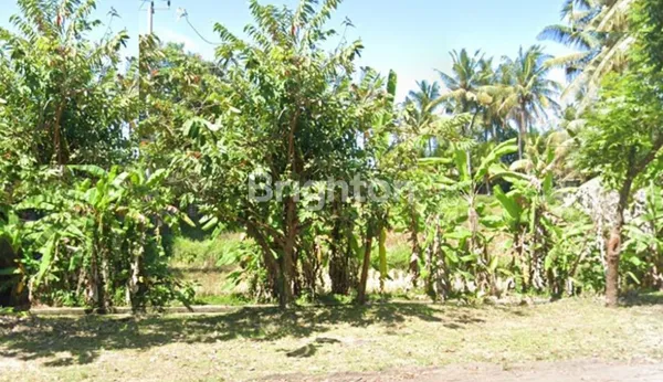 image KAVLING NOL JALAN RAYA BYPASS BALI GIANYAR LOKASI STRATEGIS (1)