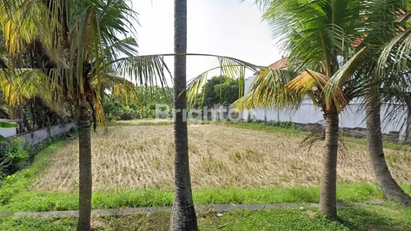 image KAVLING NOL JALAN RAYA BYPASS BALI GIANYAR LOKASI STRATEGIS (3)