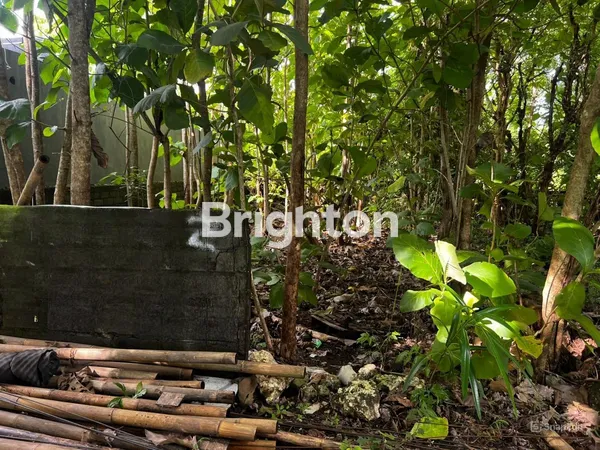 image TANAH KUTUH 3 ARE LOKASI STRATEGIS (2)