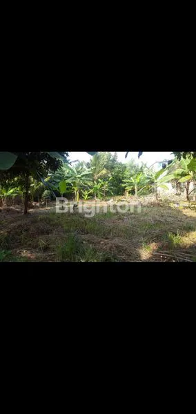 Gambar Property TANAH DENGAN LOKASI BAGUS DAN STRATEGIS DIJUAL SEGERA!!