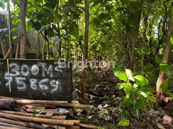 image DIJUAL TANAH DI KUTU NUSA DUA KUTA SELATAN BADUNG (4)