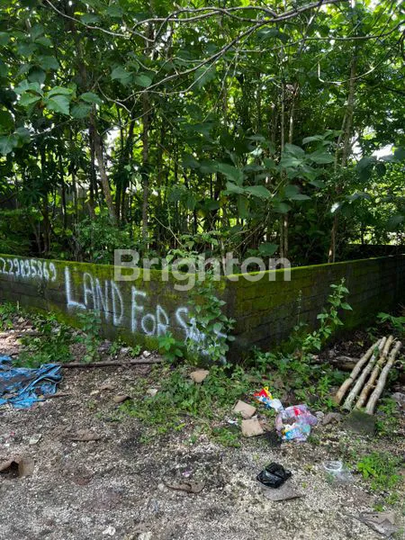 image DIJUAL TANAH DI KUTU NUSA DUA KUTA SELATAN BADUNG (2)