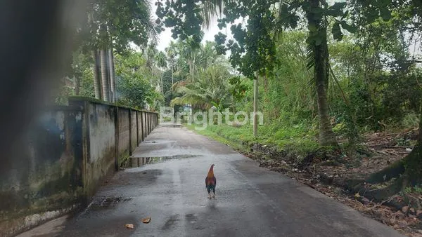 image KAVLING PREMIUM 350M² DEKAT TERMINAL AKAP SM AMIN PEKANBARU (3)