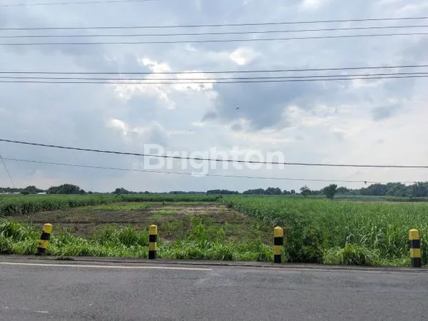 image TANAH INDUSTRI/PERUMAHAN MOJOKERTO (1)