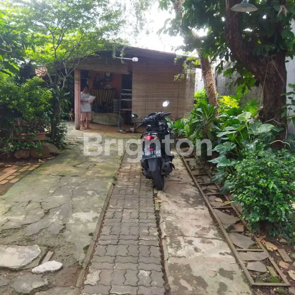 image DI JUAL RUMAH LUAS (3)