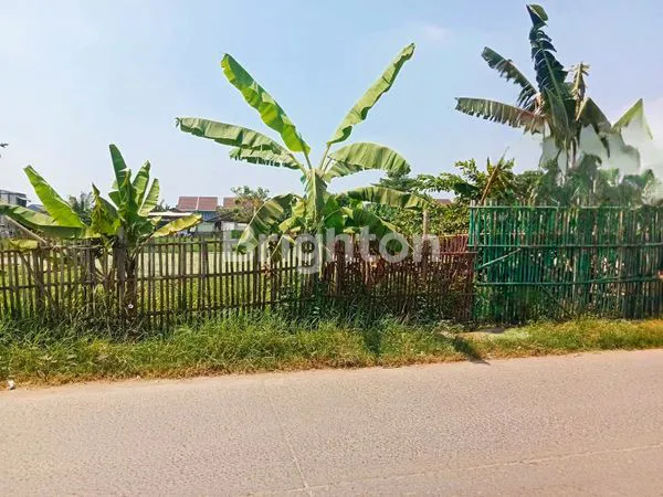 image TANAH KAVLING SIAP BANGUN LOKASI STRATEGIS COCOK UNTUK KOMERSIAL AREA (1)