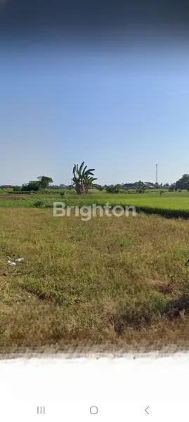 image TANAH GALESONG UTARA (1)