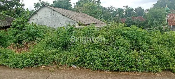 image TANAH PACET SUMBER KEMBANG DEKAT DENGAN RS SUMBER GLAGAH ARAH TRAWAS (1)