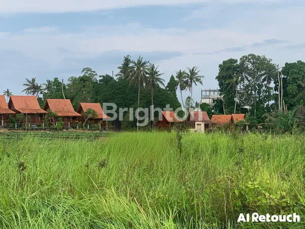 image TANAH STRATEGIS PANTAI SESEH SEWA JANGKA PANJANG (1)
