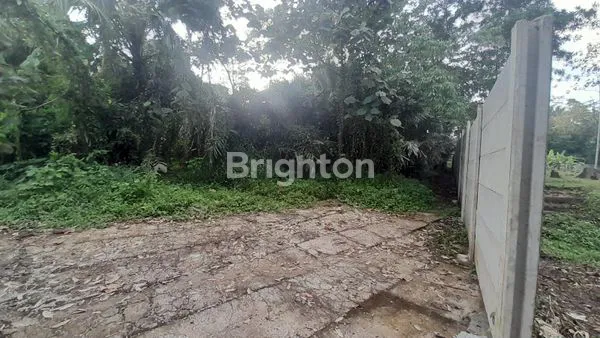 TANAH DAERAH CEBONGAN LOR MERTOYUDAN