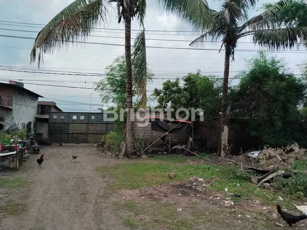 image TANAH INDUSTRI ZONA MERAH  NOL JALAN BUNDARAN APOLO GEMPOL KABUPATEN PASURUAN (5)
