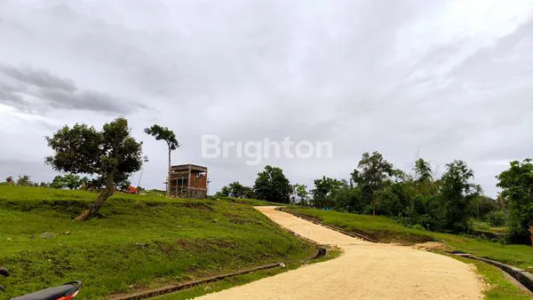 image TANAH KAVLING PREMIUM  DI PINGGIR  PANTAI SABA GIANYAR (3)