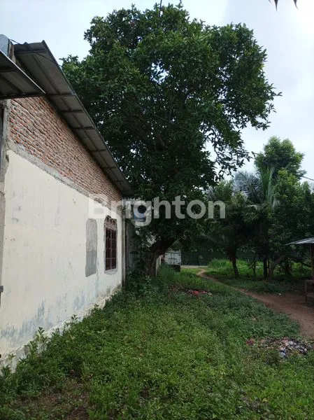 image RUMAH HITUNG TANAH JL WOLTER  MONGGONSIDI /KEHAKIMAN BANDAR LAMPUNG (3)