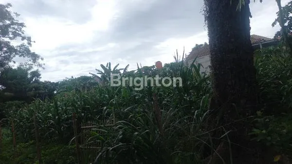 image TANAH DATAR YANG COCOK SEKALI UNTUK PENGEMBANGAN CLUSTER (2)