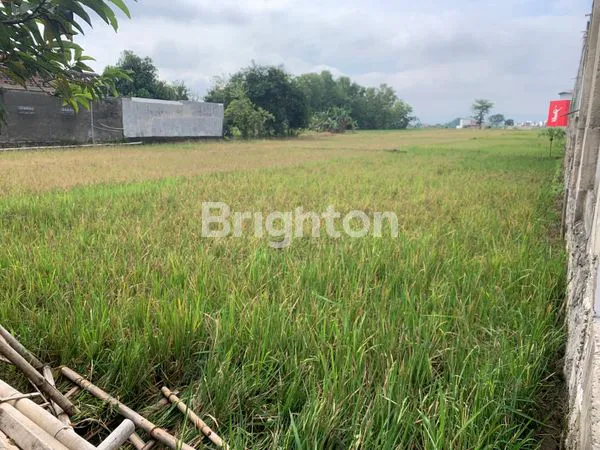 image TANAH KERING MEPET KOTA SUKOHARJO COCOK UNTUK PERUMAHAN ATAU TEMPAT USAHA (8)